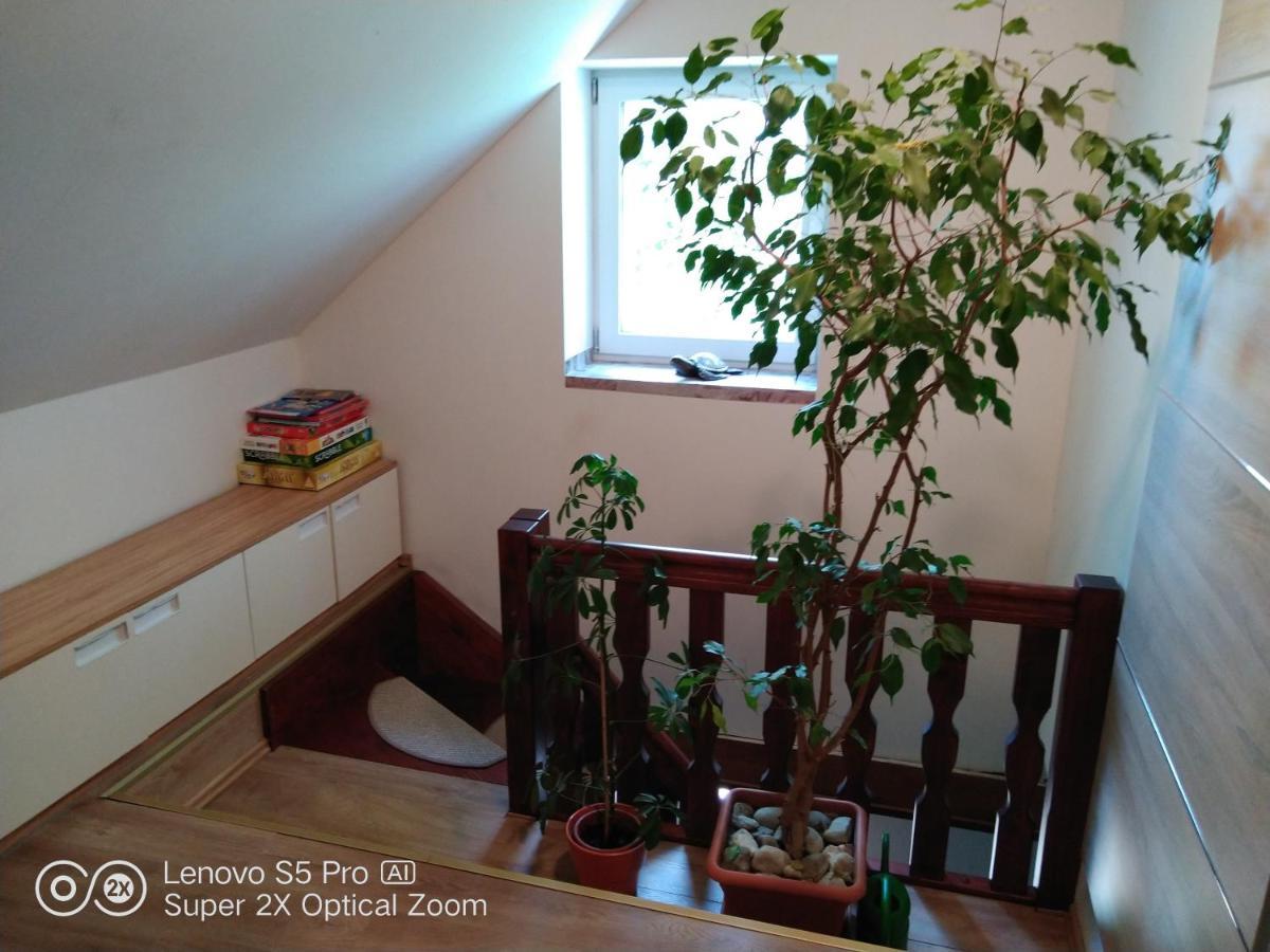 Wellness Apartman Beavital Dolany  Dış mekan fotoğraf